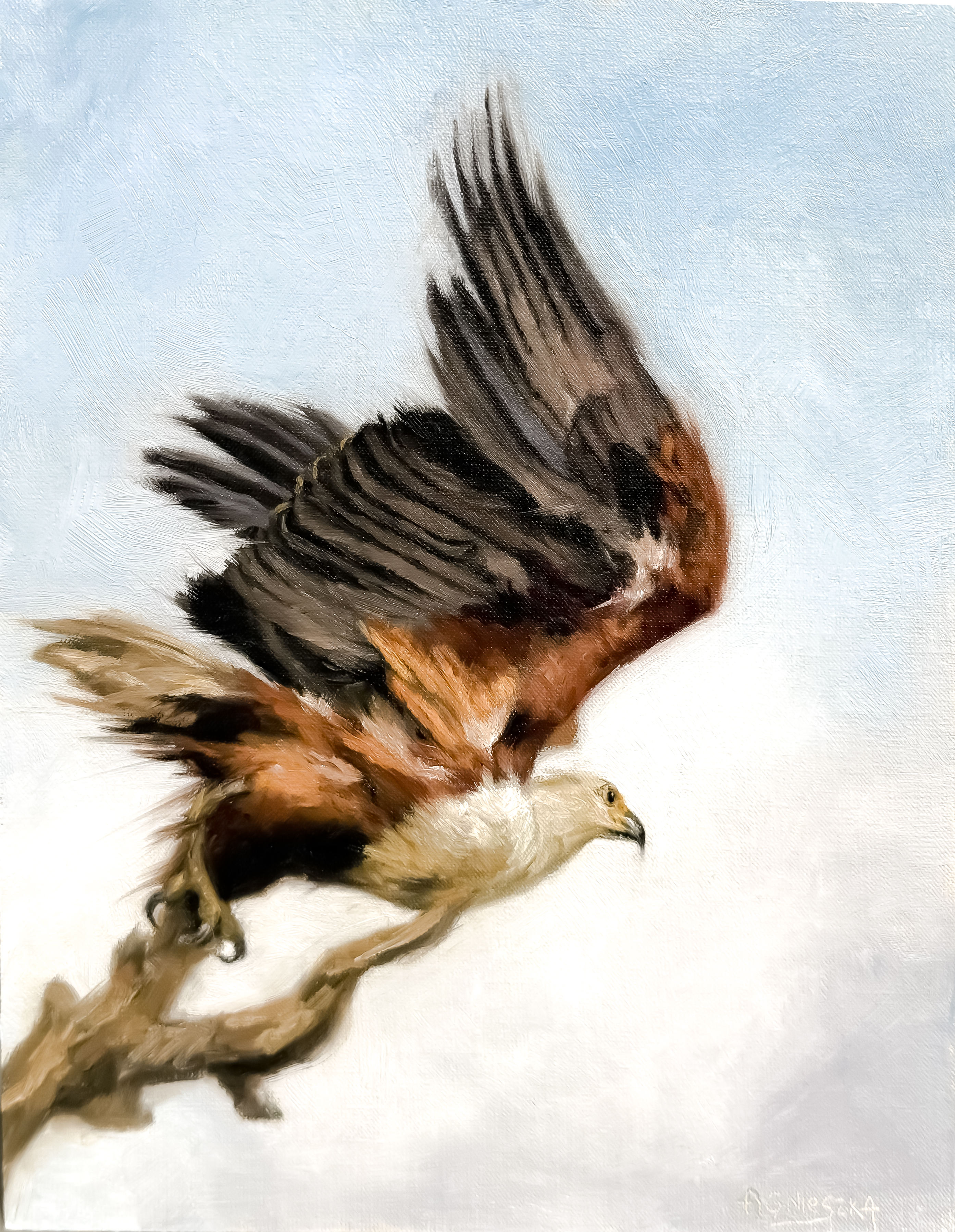 A Soft Takeoff